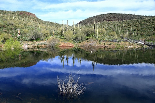 Lake Pleasant